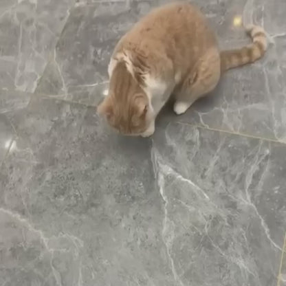 Interactive Automatic Cat Play Mat with LED & Feather Teaser Toy